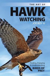 bokomslag The Art of Hawk Watching