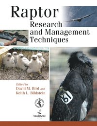 bokomslag Raptor Research and Management Techniques