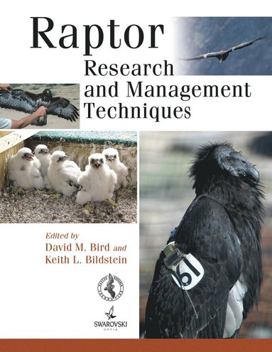 bokomslag Raptor Research and Management Techniques