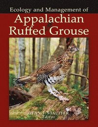 bokomslag Appalachian Ruffed Grouse