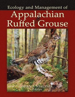 Appalachian Ruffed Grouse 1