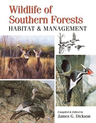 James G. Dickson, James G Dickson - Wildlife of Southern Forests: Habitat & Management, Inbunden