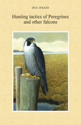 bokomslag Hunting tactics of Peregrines and other falcons