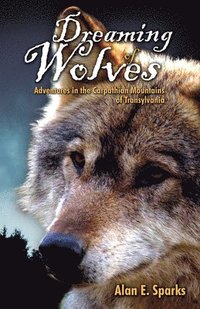 bokomslag Dreaming of Wolves