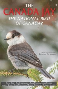 bokomslag The Canada Jay
