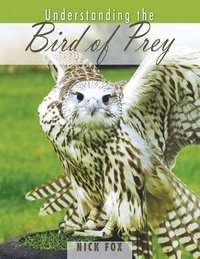 bokomslag Understanding the Bird of Prey