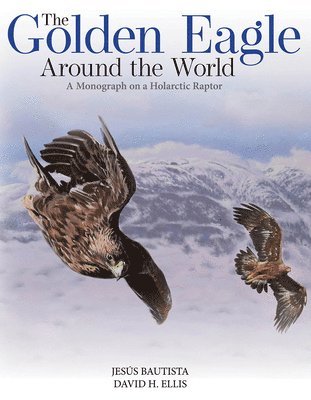 bokomslag Golden Eagle Around the World