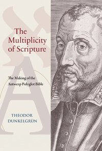 bokomslag Multiplicity of Scripture