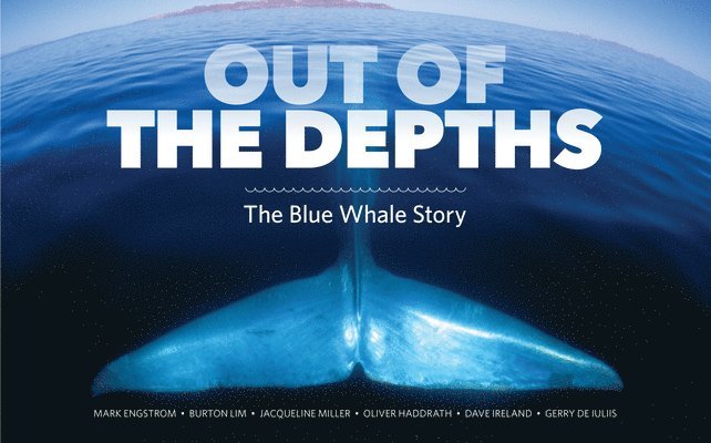 Mark Engstrom, Burton Lim - Out of the Depths: The Blue Whale Story, Häftad