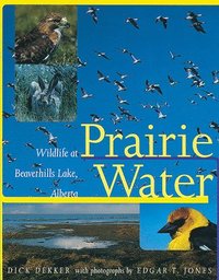bokomslag Prairie Water