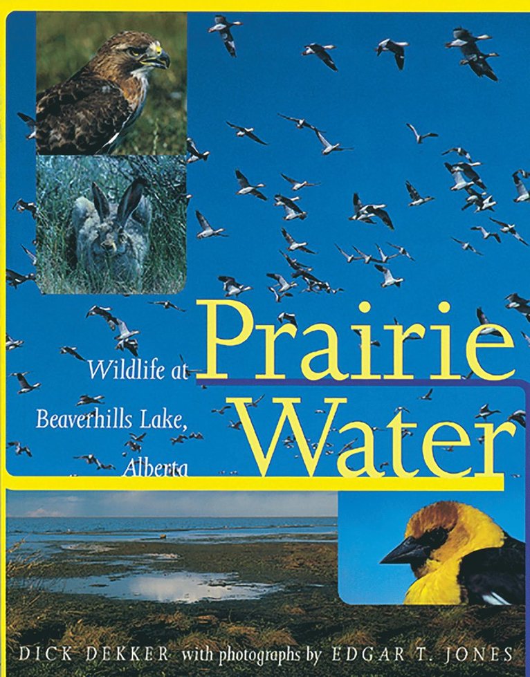Dick Dekker, Edgar T. Jones, Edgar T Jones - Prairie Water, Häftad