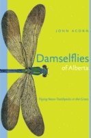 bokomslag Damselflies of Alberta