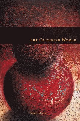bokomslag Occupied World