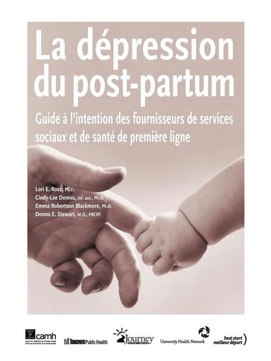 bokomslag La Depression Du Post-Partum