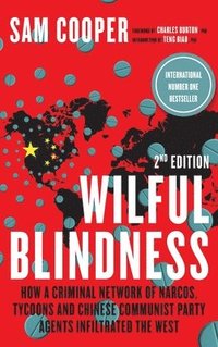 bokomslag Wilful Blindness