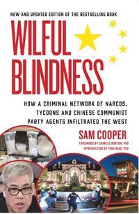 bokomslag Wilful Blindness