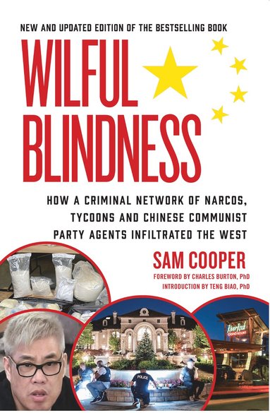 bokomslag Wilful Blindness