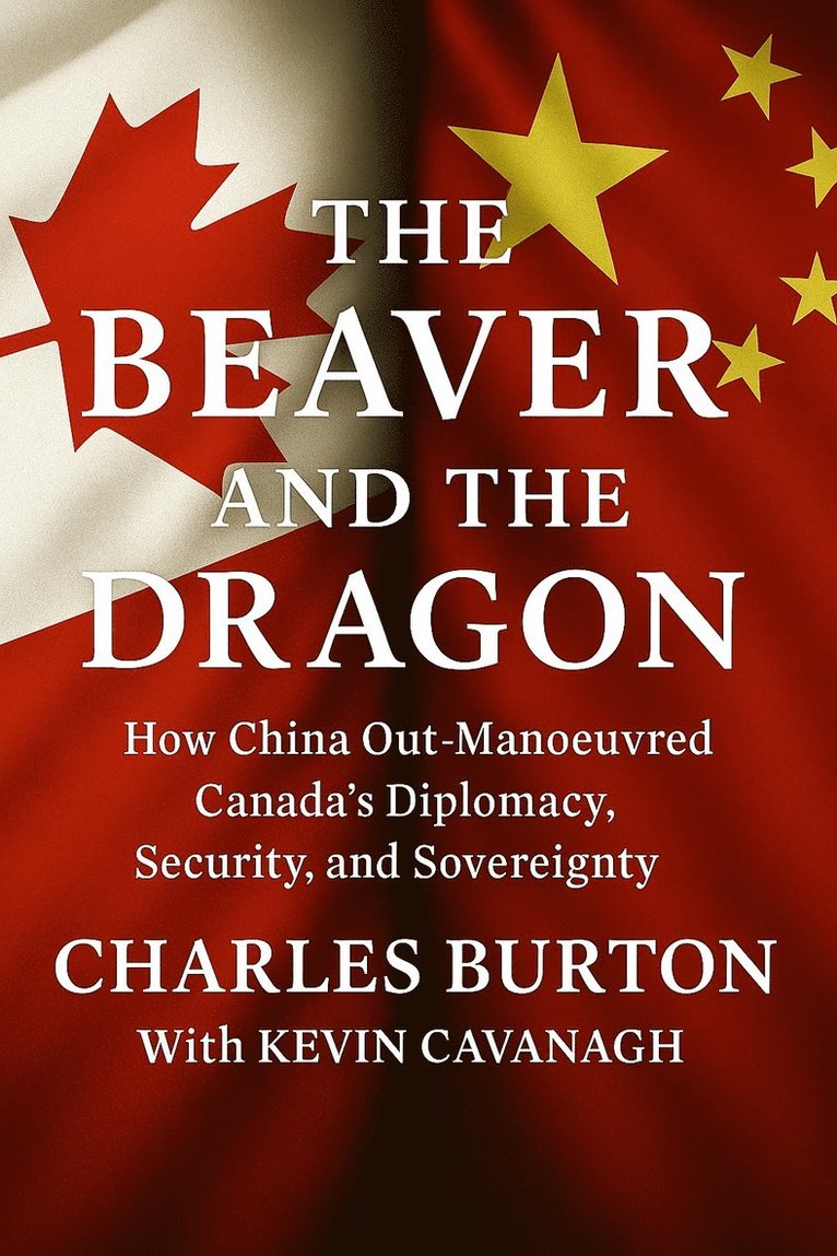 Beaver and the Dragon