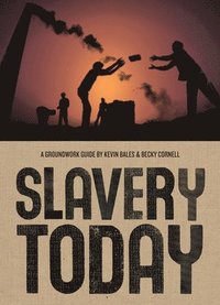 bokomslag Slavery Today