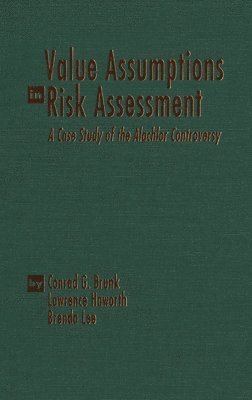 bokomslag Value Assumptions in Risk Assessment