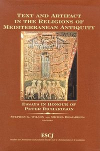 bokomslag Text and Artifact in the Religions of Mediterranean Antiquity