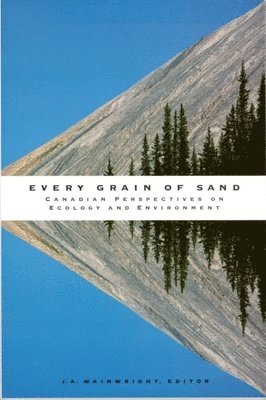 Every Grain of Sand 1