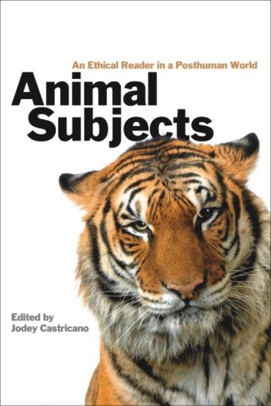 Jodey Castricano - Animal Subjects, Häftad