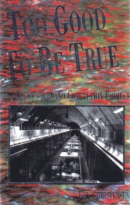 Bev Christensen - Too Good to Be True, Häftad
