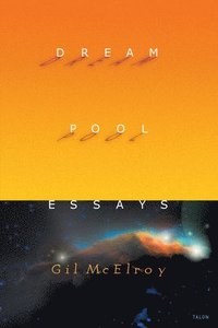 bokomslag Dream Pool Essays