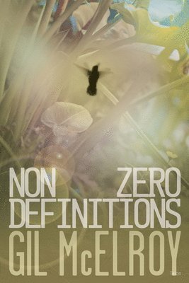 NonZero Definitions 1