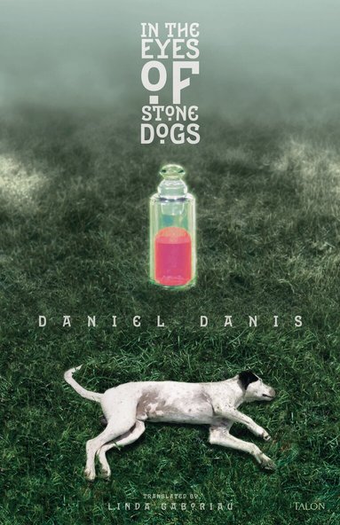 Daniel Danis - In the Eyes of Stone Dogs, Häftad