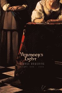 bokomslag Vermeer's Light