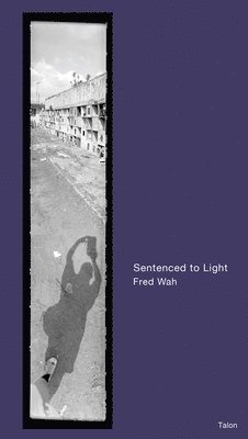 Sentenced to Light 1