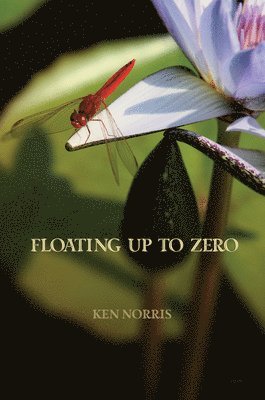 Floating Up to Zero 1