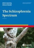 bokomslag The Schizophrenia Spectrum