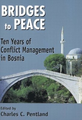bokomslag Bridges to Peace