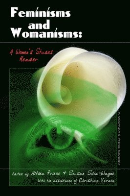 bokomslag Feminisms and Womanisms