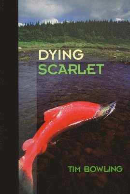 Tim Bowling - Dying Scarlet, Häftad