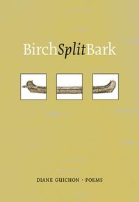 bokomslag Birch Split Bark