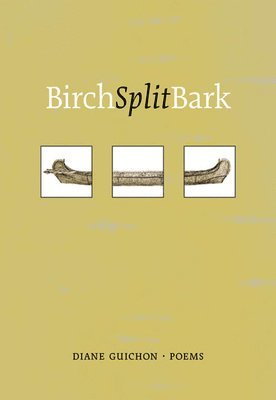 bokomslag Birch Split Bark
