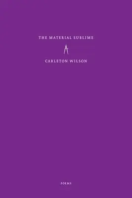 Carleton Wilson - The Material Sublime, Häftad. Tillgänglighet: Lägg i varukorg
