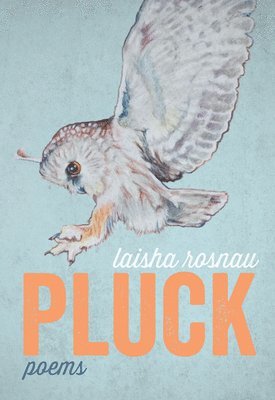 Laisha Rosnau - Pluck, Häftad. Tillgänglighet: Tillfälligt slut