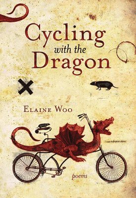 bokomslag Cycling with the Dragon