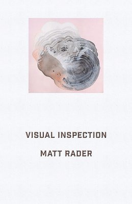 Visual Inspection 1