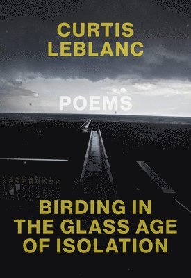 bokomslag Birding in the Glass Age of Isolation