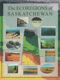 bokomslag The Ecoregions of Saskatchewan