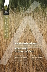 bokomslag Blackfoot Stories of Old