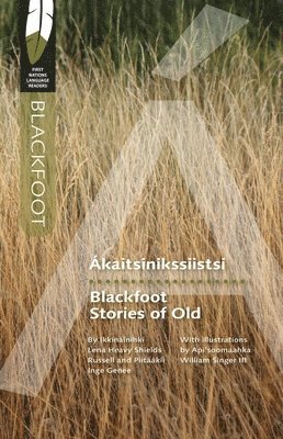 bokomslag Blackfoot Stories of Old