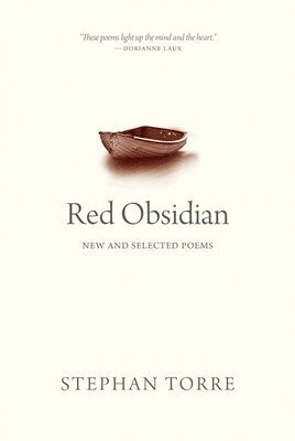 bokomslag Red Obsidian