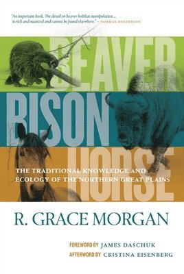 R. Grace Morgan, R Grace Morgan - Beaver, Bison, Horse, Inbunden